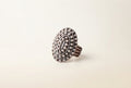 Signet Dome Ring